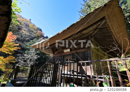 紅葉に包まれた日向見薬師堂 120286086