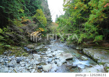 『 かじかの滝 』へ向かう【洞川自然研究路散策コース 】／ 奈良県天川村洞川（どろがわ） 120286131