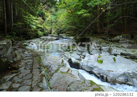 『 かじかの滝 』へ向かう【洞川自然研究路散策コース 】/ 奈良県天川村洞川(どろがわ) 『 かじかの滝 』へ向かう【洞川自然研究路散策コース 】/ 奈良県天川村洞川(どろがわ) 120286132