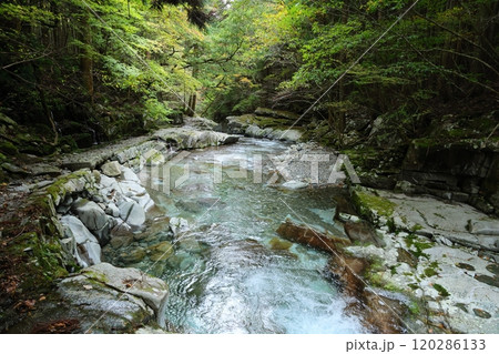 『 かじかの滝 』へ向かう【洞川自然研究路散策コース 】/ 奈良県天川村洞川(どろがわ) 『 かじかの滝 』へ向かう【洞川自然研究路散策コース 】/ 奈良県天川村洞川(どろがわ) 120286133