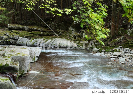 『 かじかの滝 』へ向かう【洞川自然研究路散策コース 】／ 奈良県天川村洞川（どろがわ） 120286134