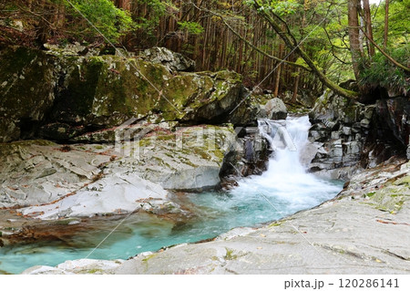 『 かじかの滝 』へ向かう【洞川自然研究路散策コース 】／ 奈良県天川村洞川（どろがわ） 120286141