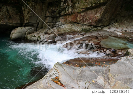 『 かじかの滝 』へ向かう【洞川自然研究路散策コース 】/ 奈良県天川村洞川(どろがわ) 『 かじかの滝 』へ向かう【洞川自然研究路散策コース 】/ 奈良県天川村洞川(どろがわ) 120286145