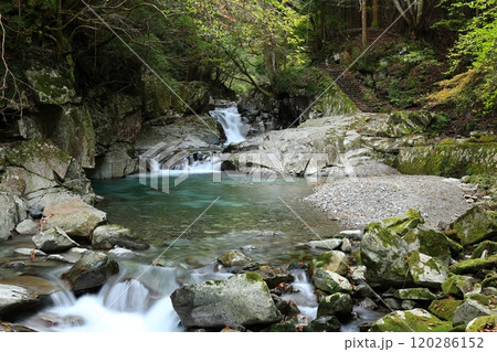 『 かじかの滝 』【洞川自然研究路散策コース 】／ 奈良県天川村洞川（どろがわ） 120286152