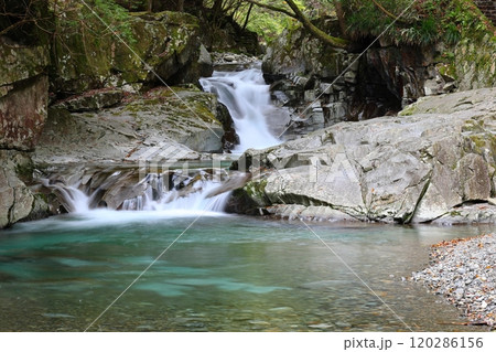 『 かじかの滝 』【洞川自然研究路散策コース 】／ 奈良県天川村洞川（どろがわ） 120286156