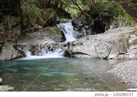 『 かじかの滝 』【洞川自然研究路散策コース 】/ 奈良県天川村洞川(どろがわ) 『 かじかの滝 』【洞川自然研究路散策コース 】/ 奈良県天川村洞川(どろがわ) 120286157