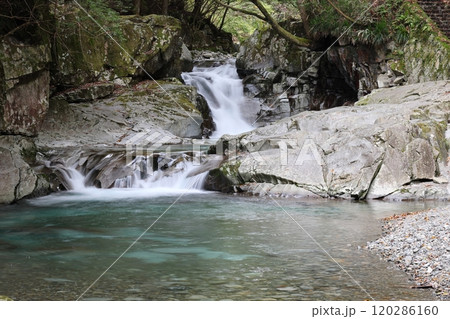 『 かじかの滝 』【洞川自然研究路散策コース 】/ 奈良県天川村洞川(どろがわ) 『 かじかの滝 』【洞川自然研究路散策コース 】/ 奈良県天川村洞川(どろがわ) 120286160
