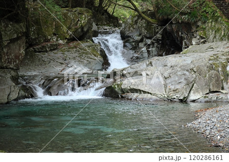 『 かじかの滝 』【洞川自然研究路散策コース 】/ 奈良県天川村洞川(どろがわ) 『 かじかの滝 』【洞川自然研究路散策コース 】/ 奈良県天川村洞川(どろがわ) 120286161