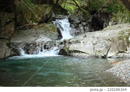 『 かじかの滝 』【洞川自然研究路散策コース 】／ 奈良県天川村洞川（どろがわ） 120286164