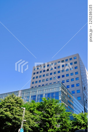 札幌エルプラザの景観 札幌エルプラザの景観 120286185