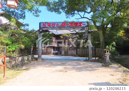 【広島県】安芸の宮島紅葉谷公園と宮島ロープウェイ入口 【広島県】安芸の宮島紅葉谷公園と宮島ロープウェイ入口 120286215