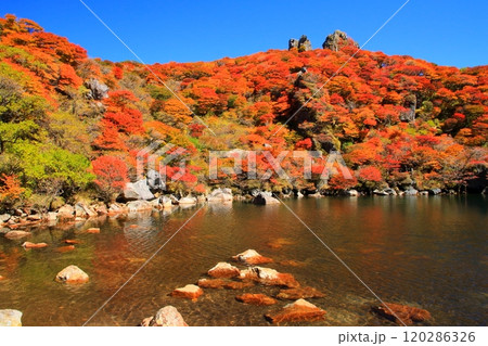 秋の大船山御池(くじゅう連山・竹田市) 秋の大船山御池(くじゅう連山・竹田市) 120286326