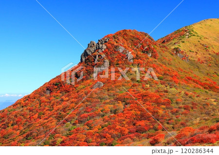 秋の星生山（くじゅう連山・大分県九重町） 120286344