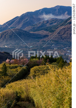 箱根・金時山稜線から見る朝の大涌谷・神山 箱根・金時山稜線から見る朝の大涌谷・神山 120286367