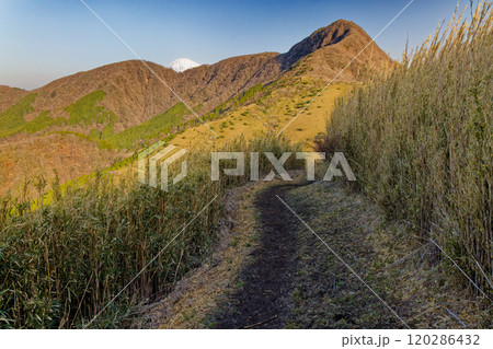 箱根外輪山・矢倉沢峠付近から見る金時山と富士山 箱根外輪山・矢倉沢峠付近から見る金時山と富士山 120286432
