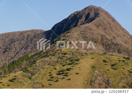 箱根外輪山・矢倉沢峠付近から見る金時山 箱根外輪山・矢倉沢峠付近から見る金時山 120286457