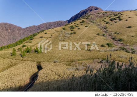 箱根外輪山・矢倉沢峠付近から見る金時山 箱根外輪山・矢倉沢峠付近から見る金時山 120286459