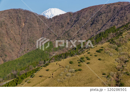 箱根外輪山・矢倉沢峠付近から見る富士山山頂 箱根外輪山・矢倉沢峠付近から見る富士山山頂 120286501