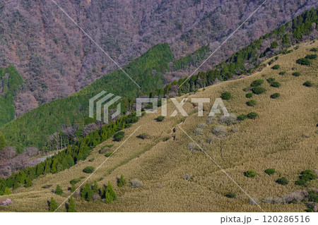 箱根外輪山・矢倉沢峠付近から金時山へ向かうハイカー 120286516