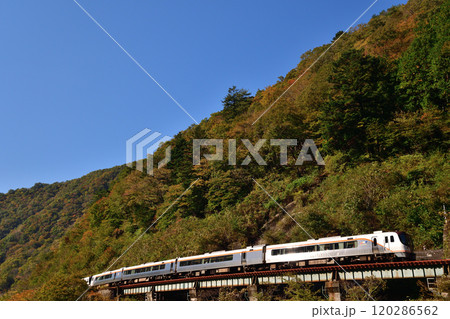 紅葉する高山本線を走るHC85系の特急「ひだ」 紅葉する高山本線を走るHC85系の特急「ひだ」 120286562