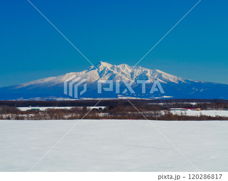 北海道・小清水町じゃがいも街道より眺める斜里岳 北海道・小清水町じゃがいも街道より眺める斜里岳 120286817