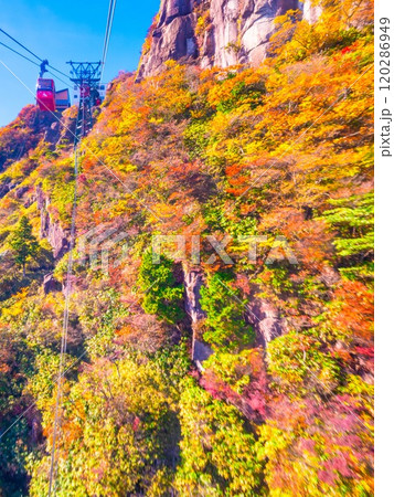 御在所ロープウェイと紅葉 120286949