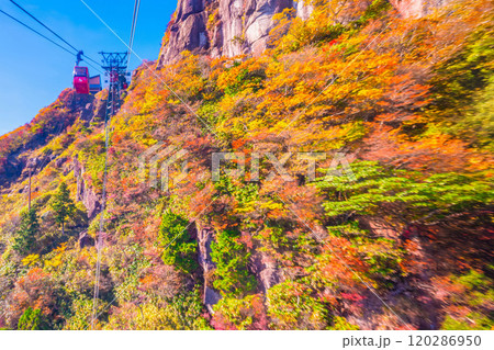 御在所ロープウェイと紅葉 120286950