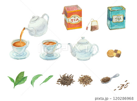 水彩絵の具で描いた紅茶セットのイラスト素材 [120286968] - PIXTA