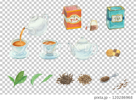 水彩絵の具で描いた紅茶セット 120286968
