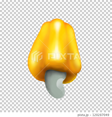 Yellow cashew fruit and cashew nuts 120287049