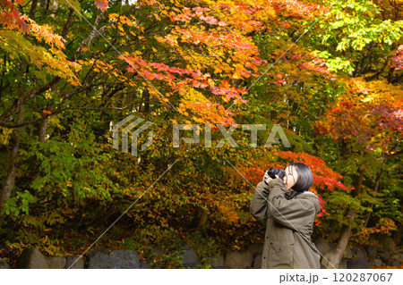 紅葉を撮る女性 120287067