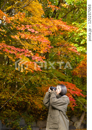 紅葉を撮る女性 120287068
