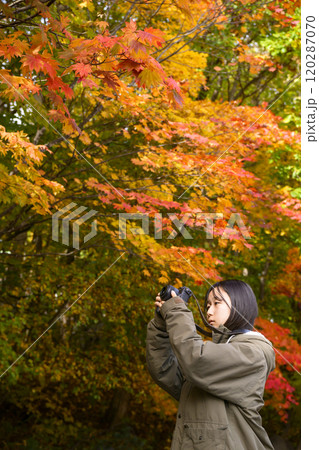 紅葉を撮る女性 120287070