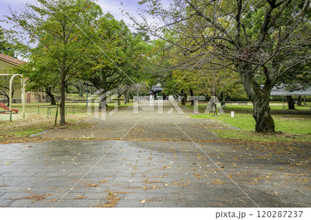 大津 膳所城跡公園 滋賀県大津市 大津 膳所城跡公園 滋賀県大津市 120287237