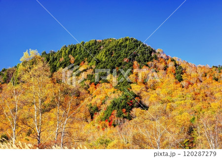 錦秋の田ノ原湿原 120287279