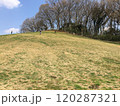 こどもの国　横浜市青葉区 120287321
