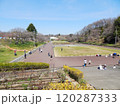 こどもの国　横浜市青葉区 120287333