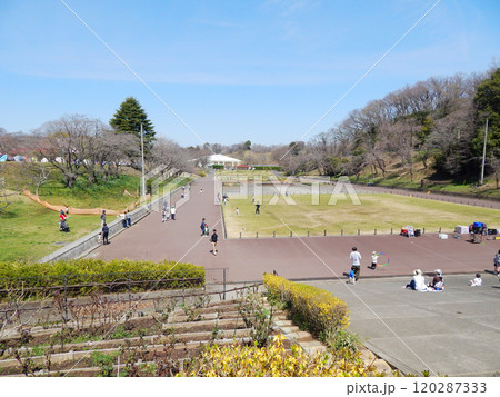 こどもの国 横浜市青葉区 こどもの国 横浜市青葉区 120287333