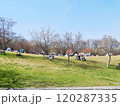 こどもの国　横浜市青葉区 120287335