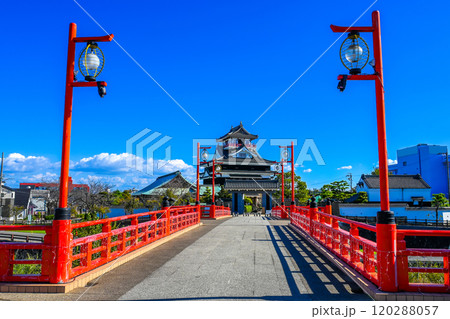 青空と清洲城 愛知県清須市 120288057