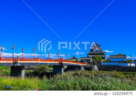 青空と清洲城の風景 愛知県清須市 120288075