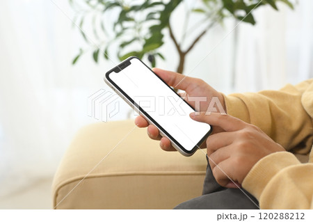 Close up of female hands holding mobile phone with empty screen sitting on couch 120288212