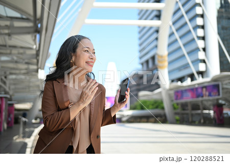 Portrait of successful mature businesswoman having business conversation outdoors 120288521