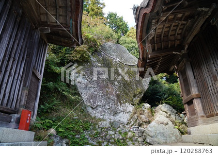 秋の日吉大社　奥之院　金大巌 120288763