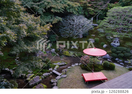 秋の旧竹林院 120288826