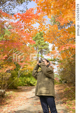 紅葉を撮る女性 紅葉を撮る女性 120288879