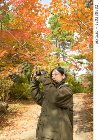 紅葉を撮る女性 120288882