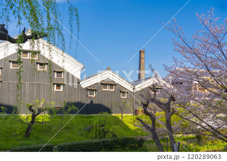 京都 伏見の酒蔵と十石舟 京都 伏見の酒蔵と十石舟 120289063