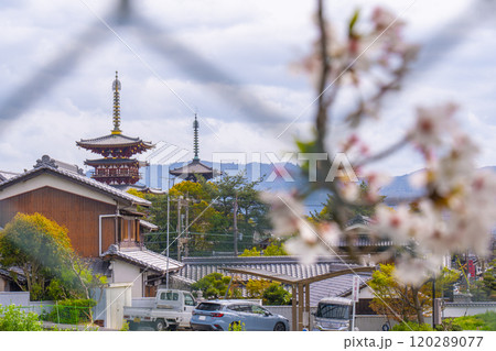 六条柳集会所から眺める薬師寺の風景 六条柳集会所から眺める薬師寺の風景 120289077