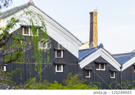 京都 伏見の酒蔵と運河 京都 伏見の酒蔵と運河 120289083